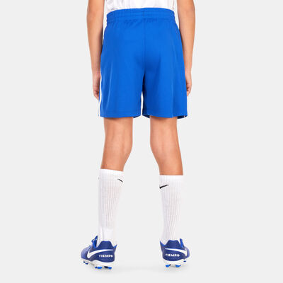 نايكي دراي-فت ملتاي+ شورت التمرين جرافيك للأطفال الكبار (للأولاد) أزرق